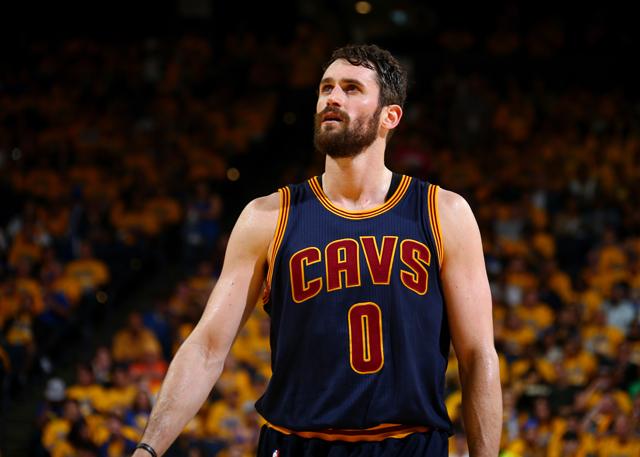 霍芬海姆目 霍芬海姆目